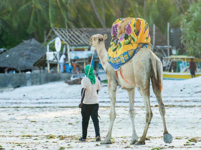 North Coast Holiday Package